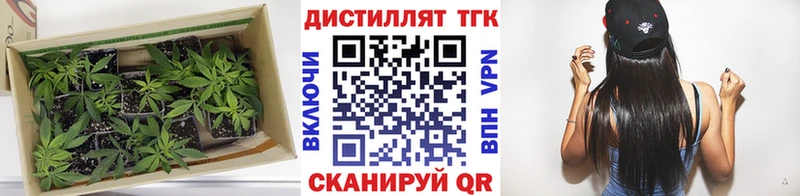 ТГК THC oil  Вилюйск 
