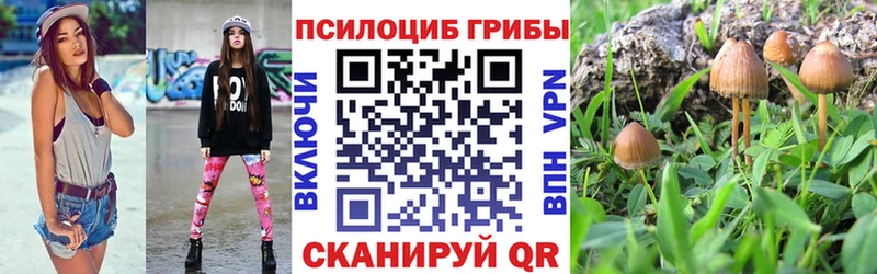 Галлюциногенные грибы Psilocybe  Вилюйск 